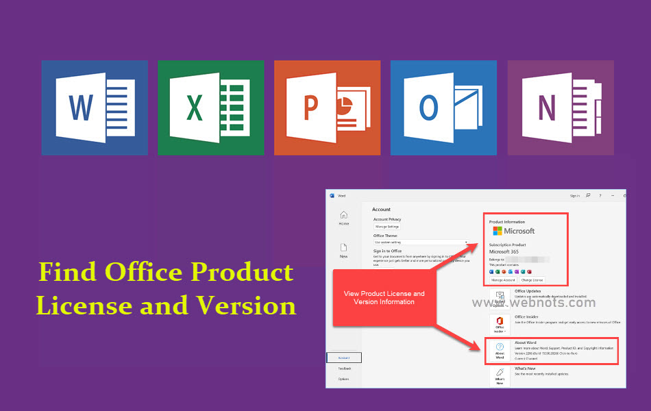 Find Office Product License and Version