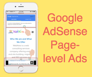 Google AdSense Page level Ads