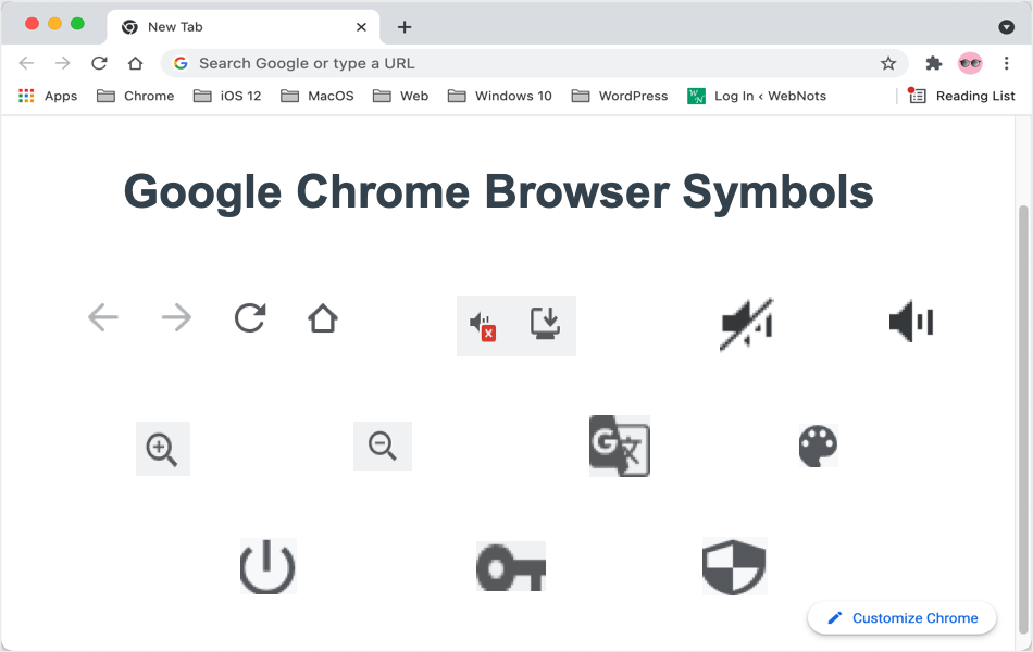 Google Chrome Browser Symbols