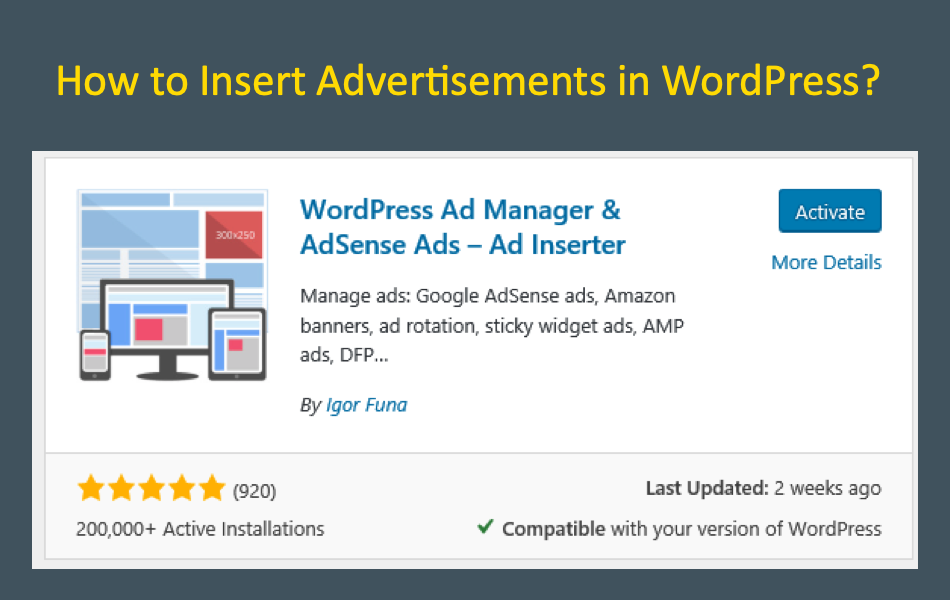 How to Insert Advertisements in WordPress
