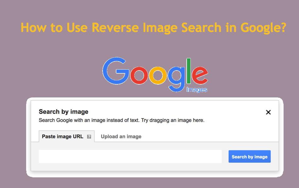 How To Use Reverse Image Search In Google.png