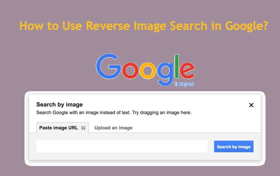 How to use reverse image search in google.png