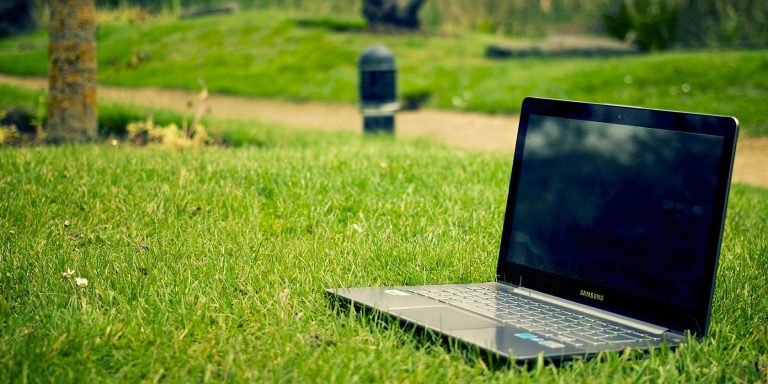 laptop blank screen grass