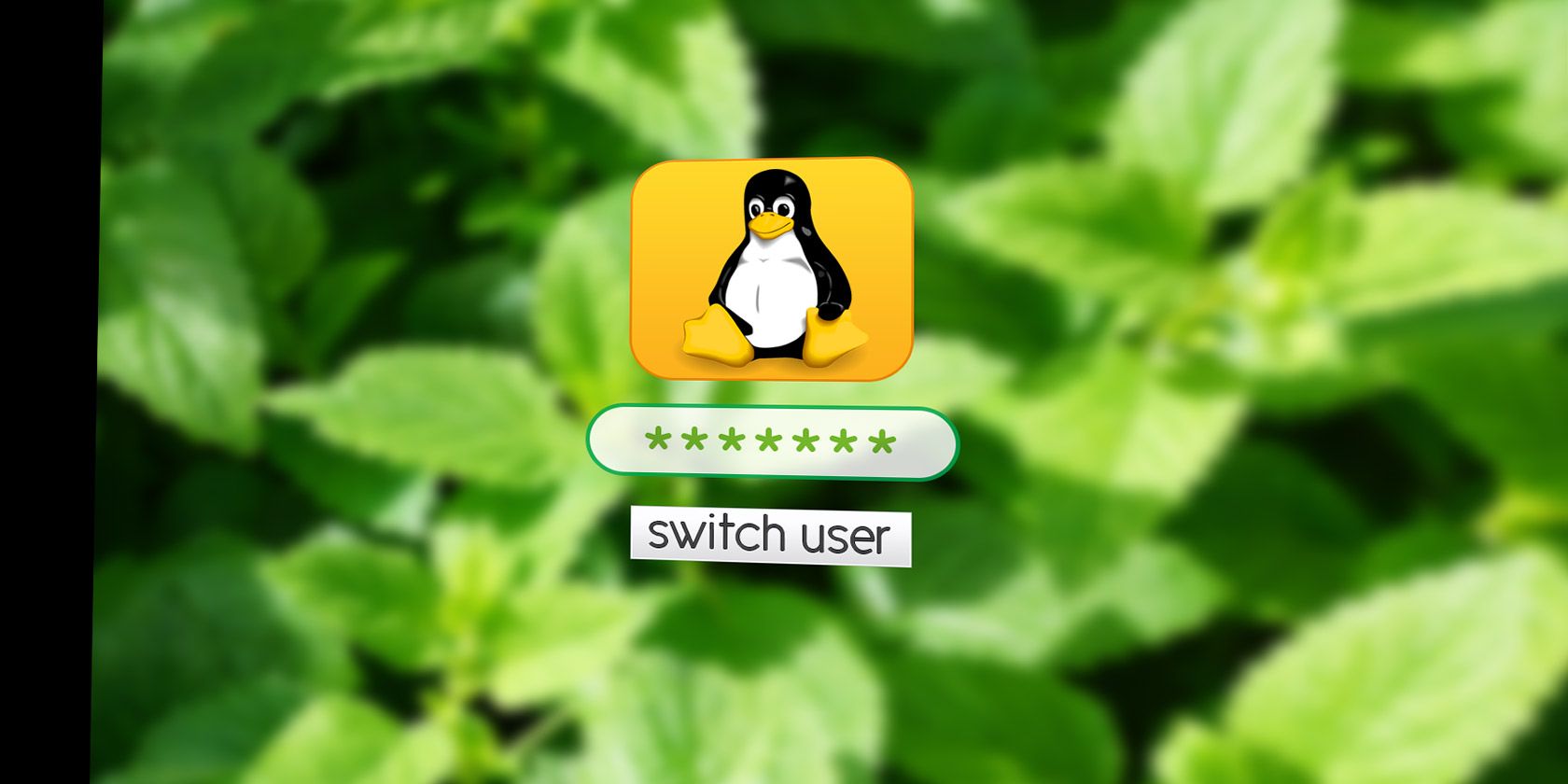 linux-infoxiao