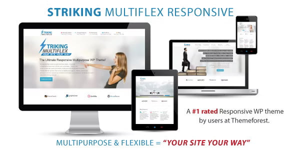 striking multiflex ecommerce responsive wp theme