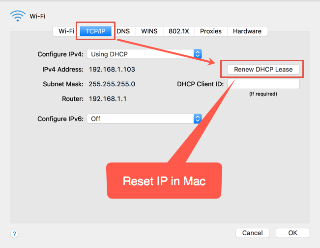 在 Mac 中重置 IP