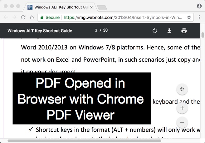 Chrome PDF 查看器