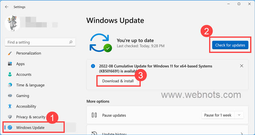 下载并安装最新的 Windows 11