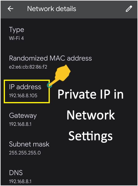 网络设置中的公共 IP 地址