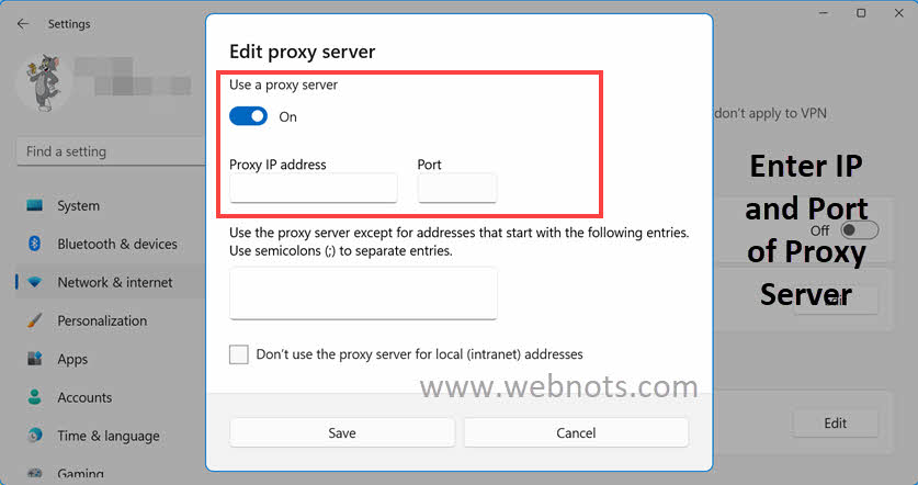 输入代理 IP 和端口以进行手动设置