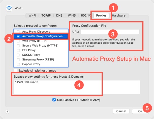 Mac 中使用 PAC URL 的代理配置