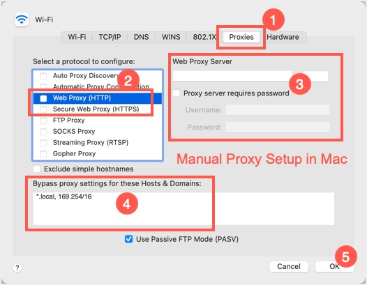 在 Mac 中使用服务器、端口和密码设置 Web 代理