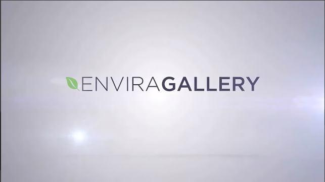 Envira Gallery