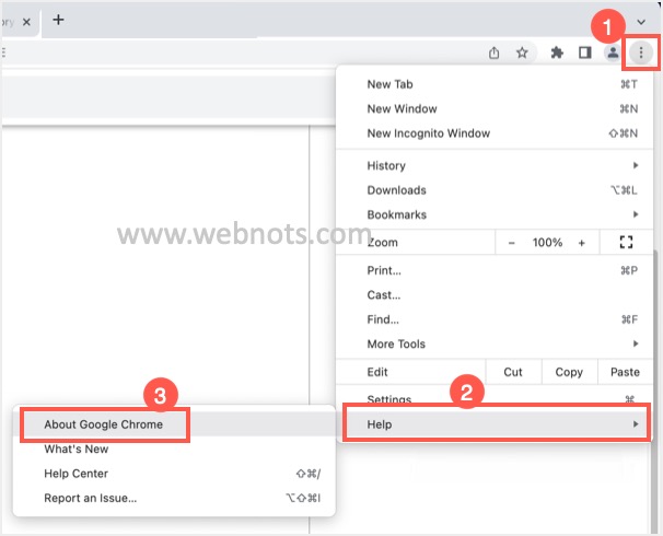 打开关于谷歌浏览器菜单