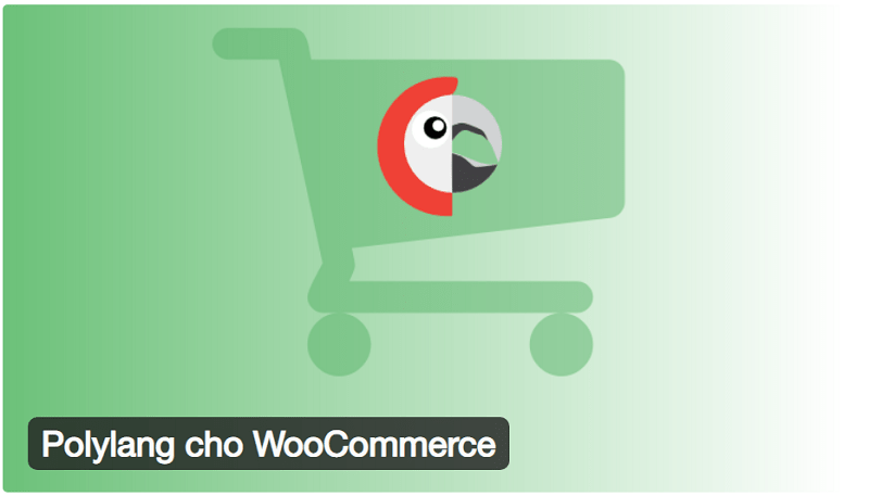 Polylang for WooCommerce Multi Language WooCommerce