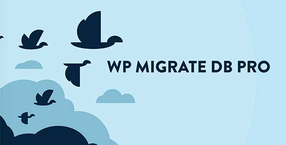 WordPress数据迁移插件WP Migrate DB Pro