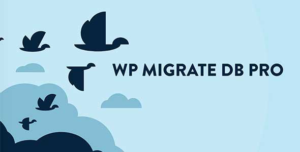 wp migrate db pro