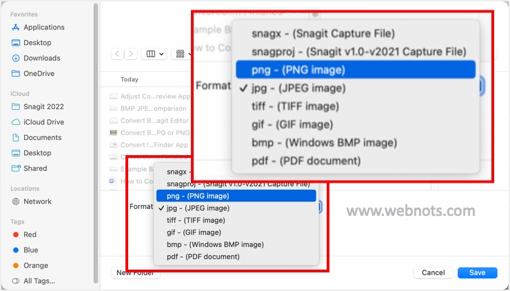 用于单次转换的 Snagit 图像格式