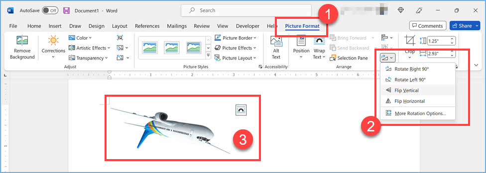 在 Word Windows 中翻转图像