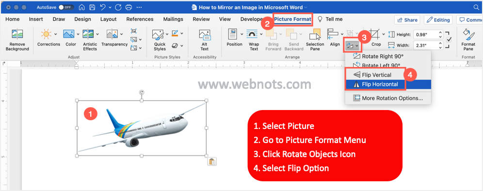 在 Word for Mac 中翻转图像