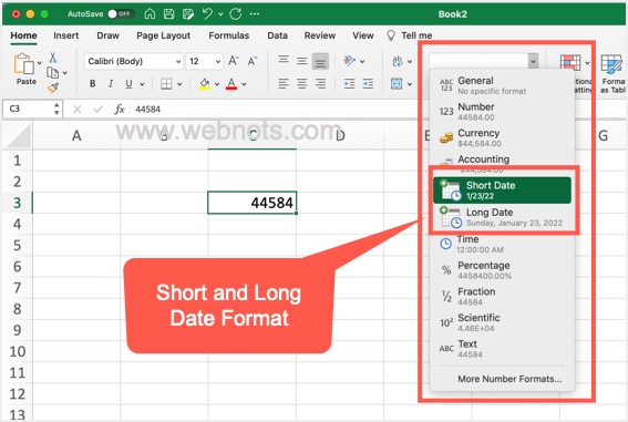 在 Excel 中应用长日期或短日期格式