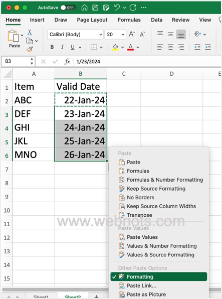 应用格式粘贴选项