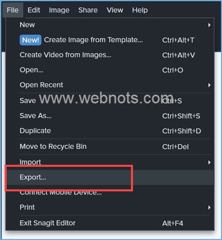 Snagit Windows 中的导出菜单