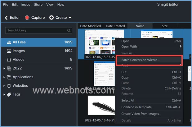 Snagit Windows 中的批量转换向导