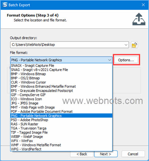 选择格式和选项