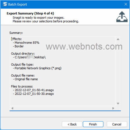 在 Snagit Windows 中查看摘要和导出图像