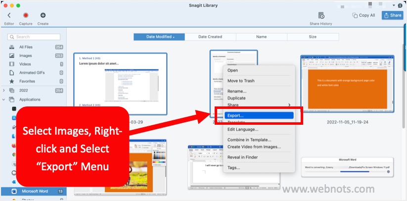Snagit 库中的导出菜单