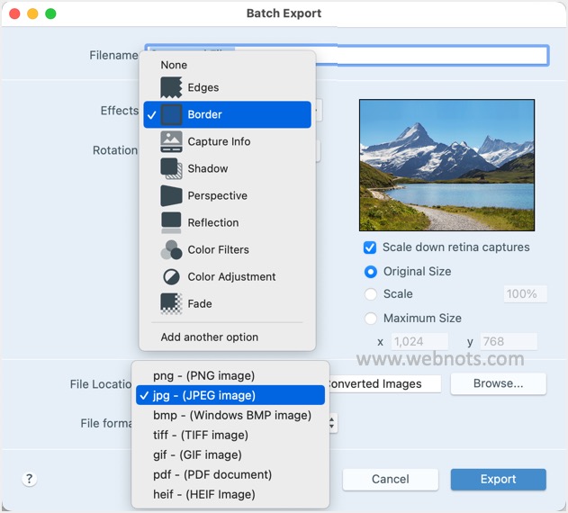 选择效果、缩放比例和文件格式