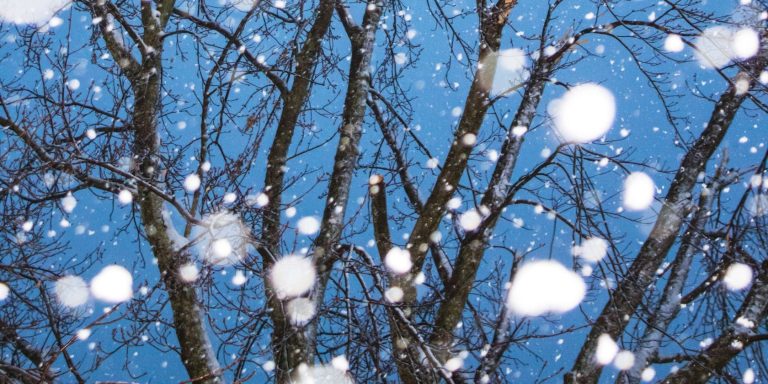 snow falling FI 1680x840