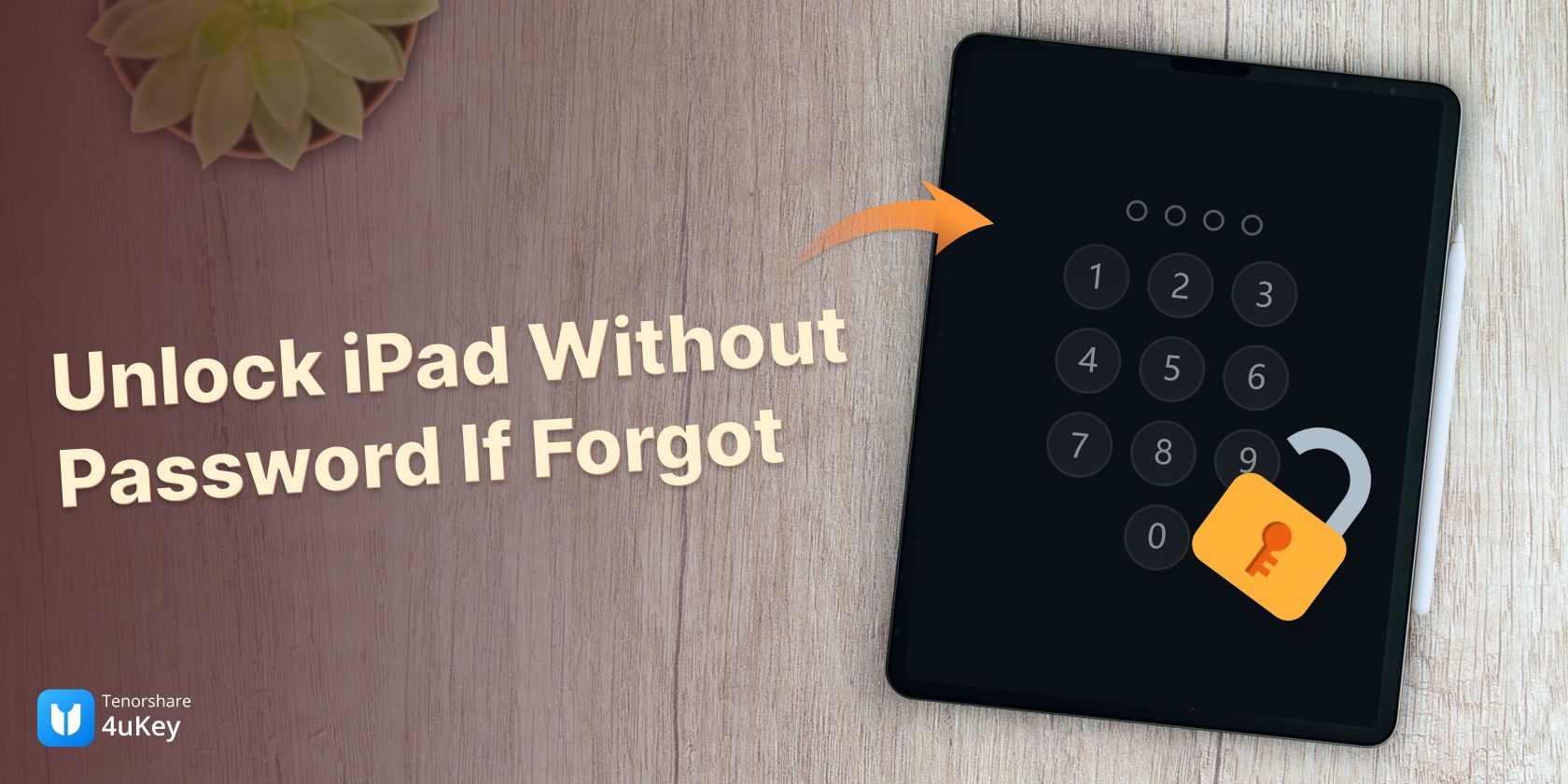 unlock ipad tenorshare