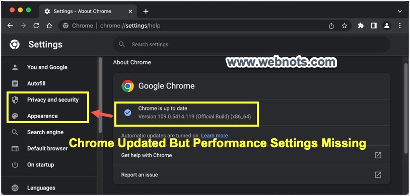 Chrome 版本是最新的，但缺少性能设置