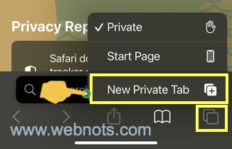 在 Safari iPhone 中打开新的私人标签