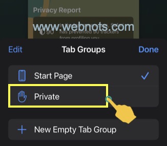 选择私人模式选项