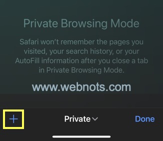 打开新的私人模式标签