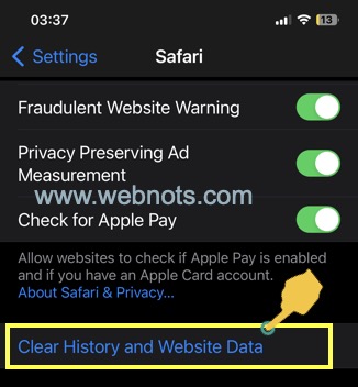 清除 Safari iPhone 中的历史记录和网站数据