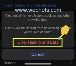 确认删除 Safari 中的浏览历史记录