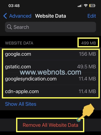 在 Safari 中查看存储的网站数据