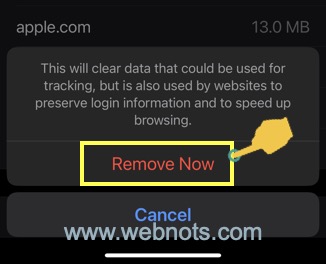在 iPhone Safari 中删除缓存的网站数据