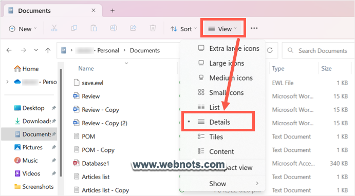 在文件资源管理器中按详细信息查看项目