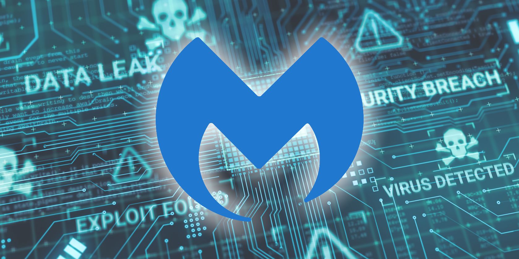 malwarebytes logo on data breach background feature