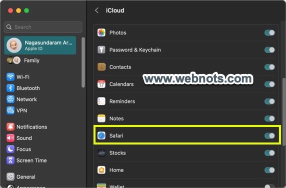 在 Safari Mac 中禁用 iCloud 同步