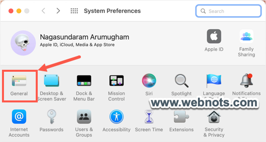 转到 macOS Monterey 或更早版本的常规部分
