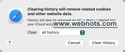 删除所有 Safari 历史记录