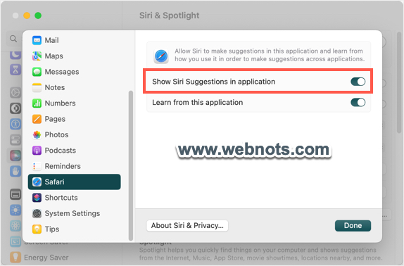 在 Safari Mac 中禁用 Siri 建议