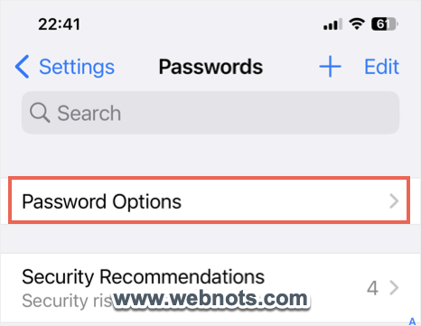 Safari 设置中的密码选项