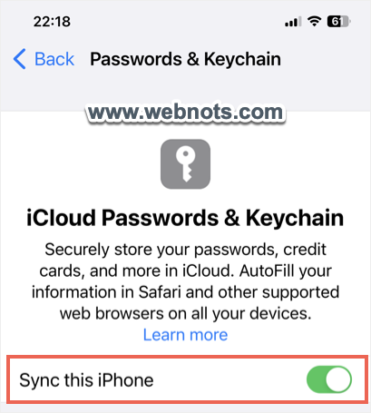 在 iPhone 中禁用 Safari 密码 iCloud 同步